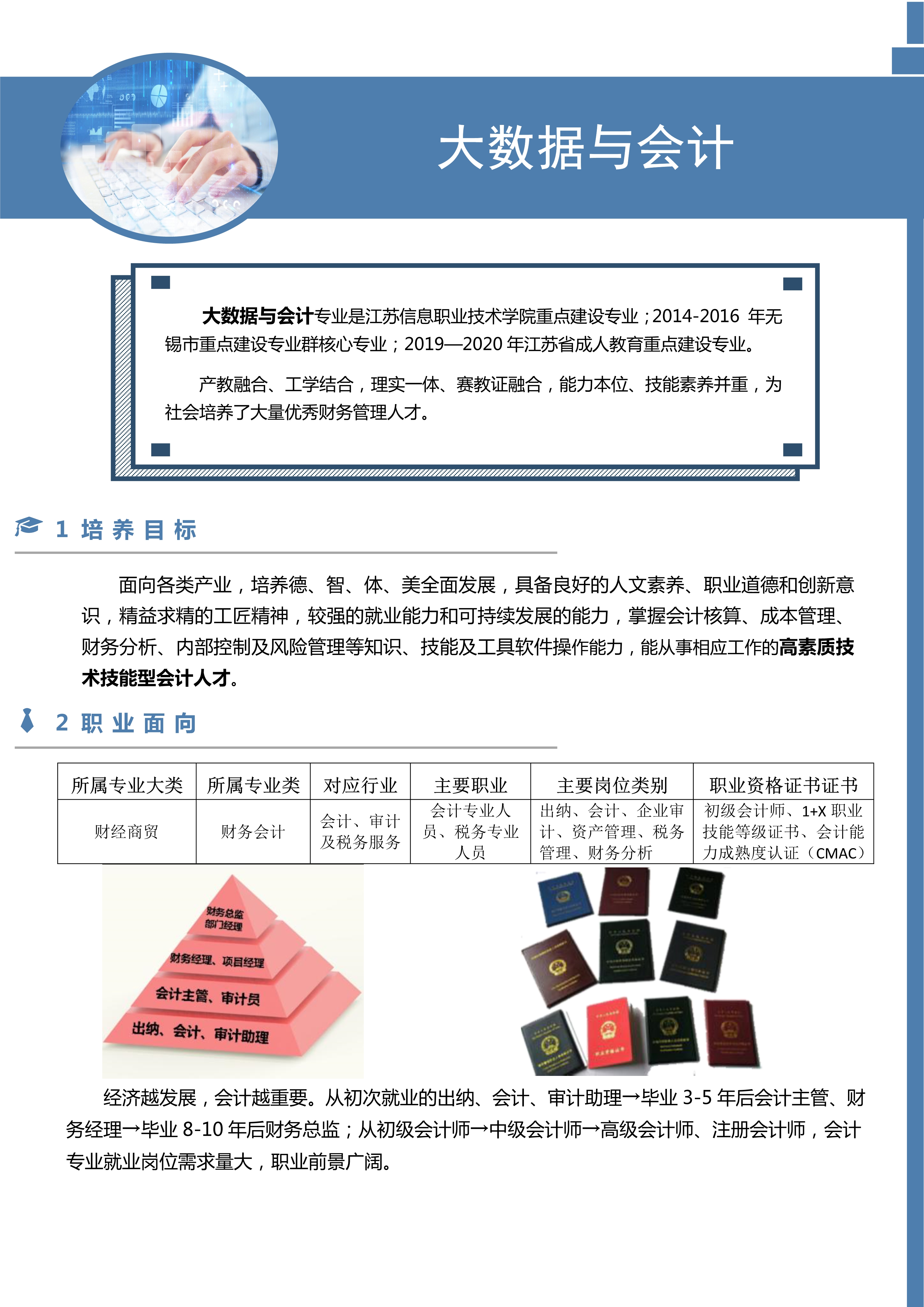 大数据会计是什么